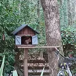 Planquee Confort, Havre De Paix , Nature