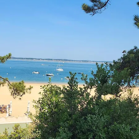 Planquee Confort, Havre De Paix , Nature * Gujan-Mestras