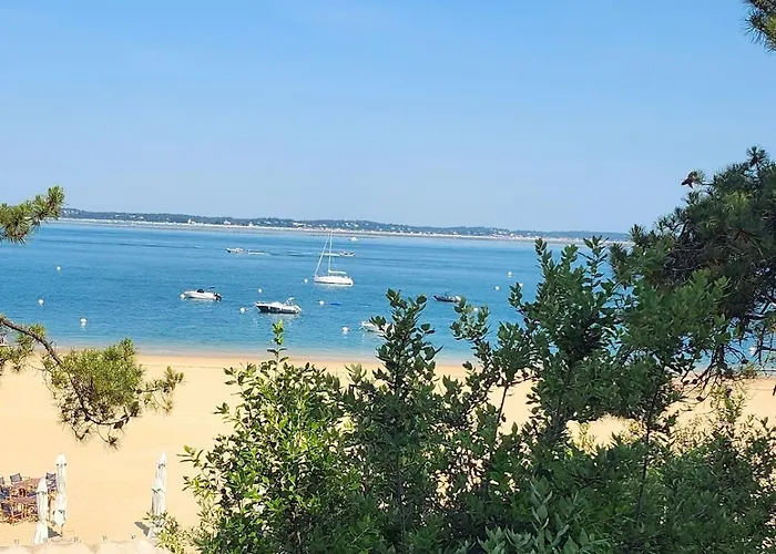 Planquee Confort, Havre De Paix , Nature * Gujan-Mestras