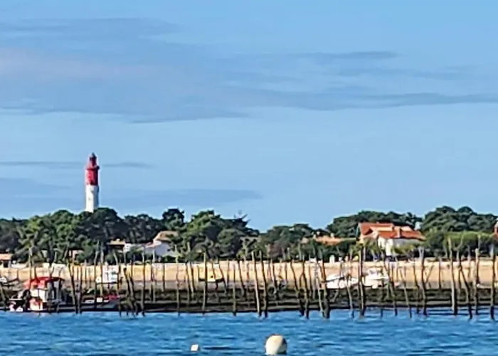 Planquee Confort, Havre De Paix , Nature Gujan-Mestras